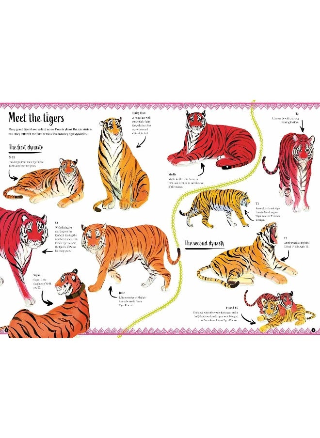 null - The Tigers' Tale: A conservation story - Image 1
