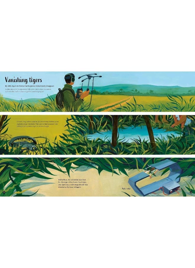 null - The Tigers' Tale: A conservation story - Image 1