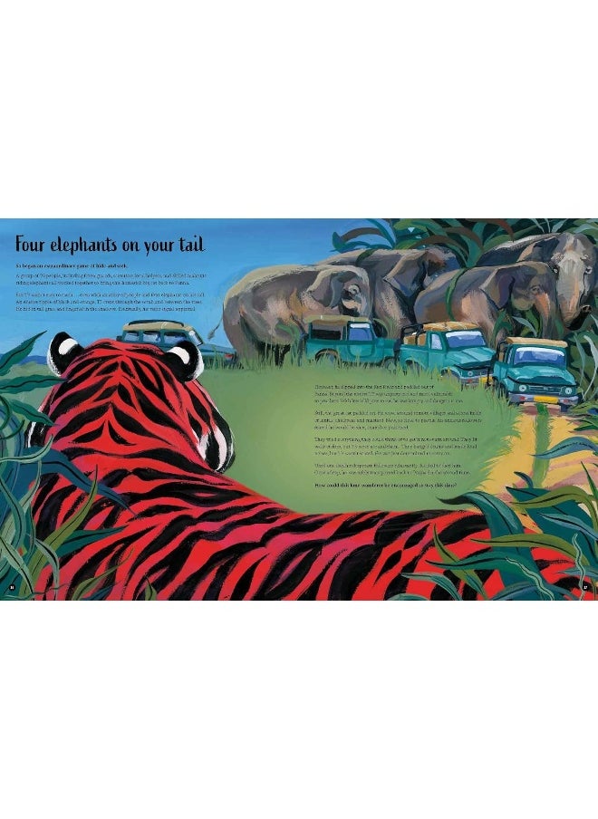 null - The Tigers' Tale: A conservation story - Image 1
