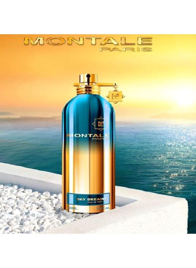 MONTALE Day Dreams EDP 100ml - Image 5