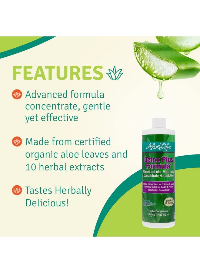 Aloe Life Detox Plus Formula Aloebased Detox Supplement Aloe Vera Juice Cleanse Promotes Healthier Digestion Concentrated Herbal Tonic Gut Health Detox For General Wellness (Lemon Lime 16Oz.) - Image 5