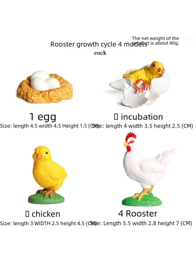 Miniature Realistic Animal Models Growth Cycle Toys Including Butterfly Rooster Ant Frog Turtle Mosquito Educational Playsets-Color:2457 Green Wind God Wing Dragon Growth Cycle 4 Sets  - Image 3