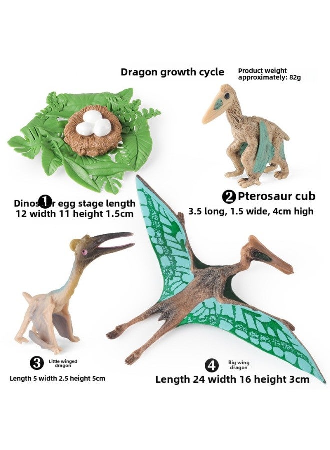 Miniature Realistic Animal Models Growth Cycle Toys Including Butterfly Rooster Ant Frog Turtle Mosquito Educational Playsets-Color:2457 Green Wind God Wing Dragon Growth Cycle 4 Sets  - Image 1