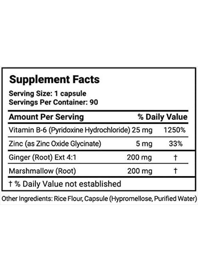 Basic Vigor - Maternal Balance Vitamin B6 25mg for Pregnancy, Plus Ginger & Zinc. 90 Easy Swallow Veggie Capsules - Image 1