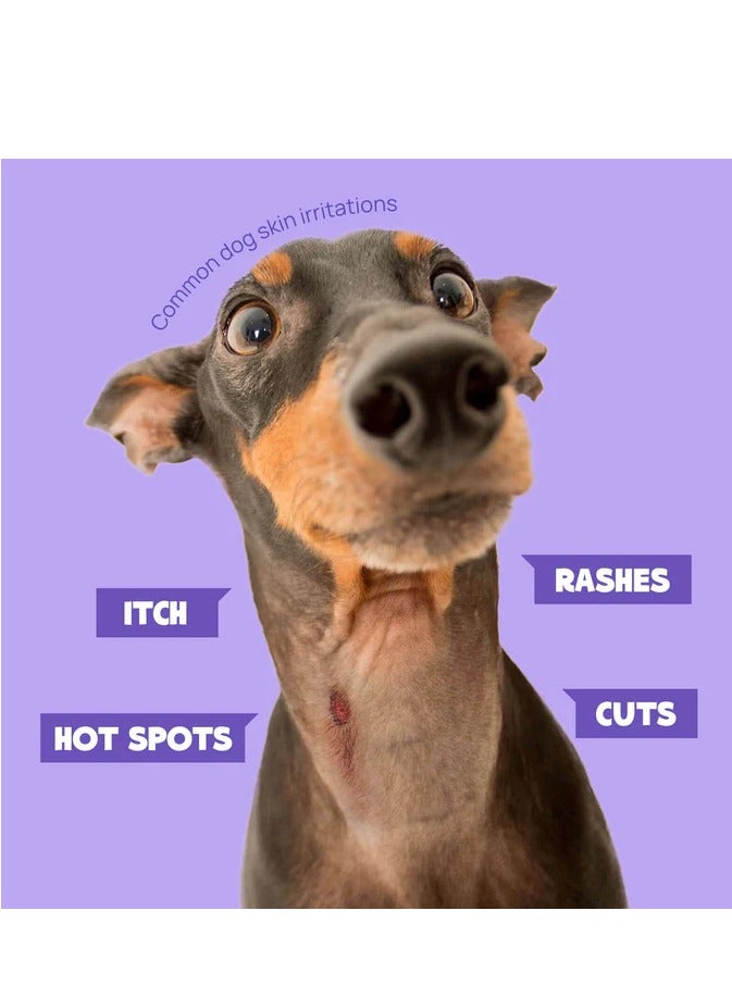 HICC Pet® Pet Skin Care Spray For Dogs, 3.4 Fl Oz - Image 3