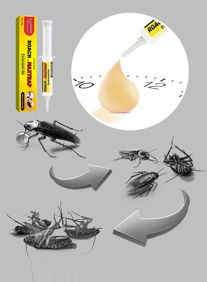 Jaysuing 3pcs Cockroach Killer Gel Bait 30ml - Image 3