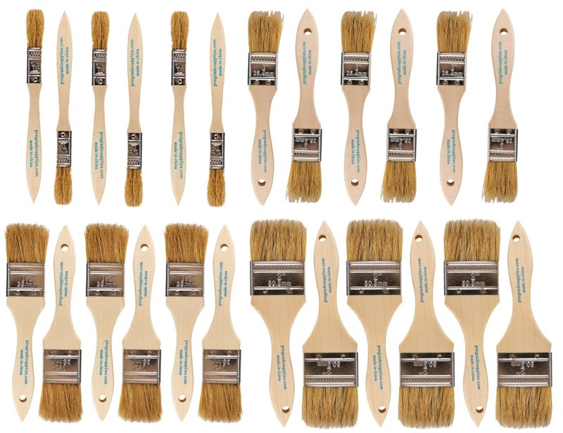 Pro Grade Chip Brush Paint Brush Set 24 Pack Natural China Bristle Paintbrush Set for Art Craft Epoxy Varnish Resin Stain Glue Gesso Primer Acrylic and Oil Paint