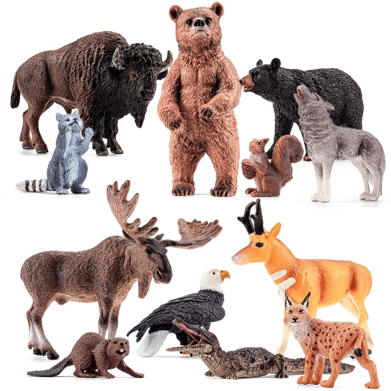 THINKBAY 12PCS Large North American Animal Figurines Realistic Safari Woodland Jungle Animals Figures Toys Includes CrocodileWolfBearDeer Birthday Gift Party Favors Valentines Day Gifts for Kids - Image 3