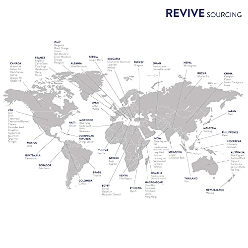 REVIVEEO Bugs Away Essential Oil Blend by Revive Essential Oils - 100% Pure Therapeutic Grade, for Diffuser, Humidifier, Massage, Aromatherapy, Topical - Image 5