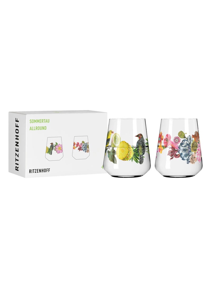 RITZENHOFF Crystal Drinking Glasses set of 2  (500l) water ,juice Glasses for Everyday Use , Dishwasher Safe - Image 1