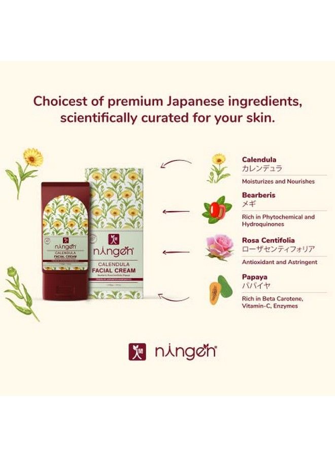 Calendula Facial Cream I Enriched With Bearberis Rosa Cantifolia & Papaya I Dermatologically Tested Paraben Free I For Brighter Fuller And Softer Skin I 100G