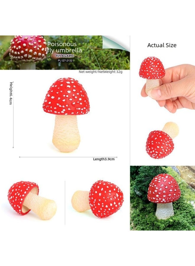 Realistic Animal Plant Simulation Models Toys-Color:PL127-2154 Long Skirt Dictyophora (yellow)  - Image 4