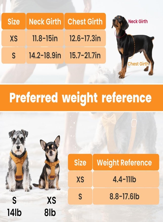 VINGVO Dog Vest Harness Collar and Leash Set, No Pull Pet Vest Harnesses with 4.9ft Leash & Safety Buckle, Adjustable Dog Vest Harness Leashs for Small Medium Dogs Puppy Cats Training Walking (Yellow XXS) - Image 4