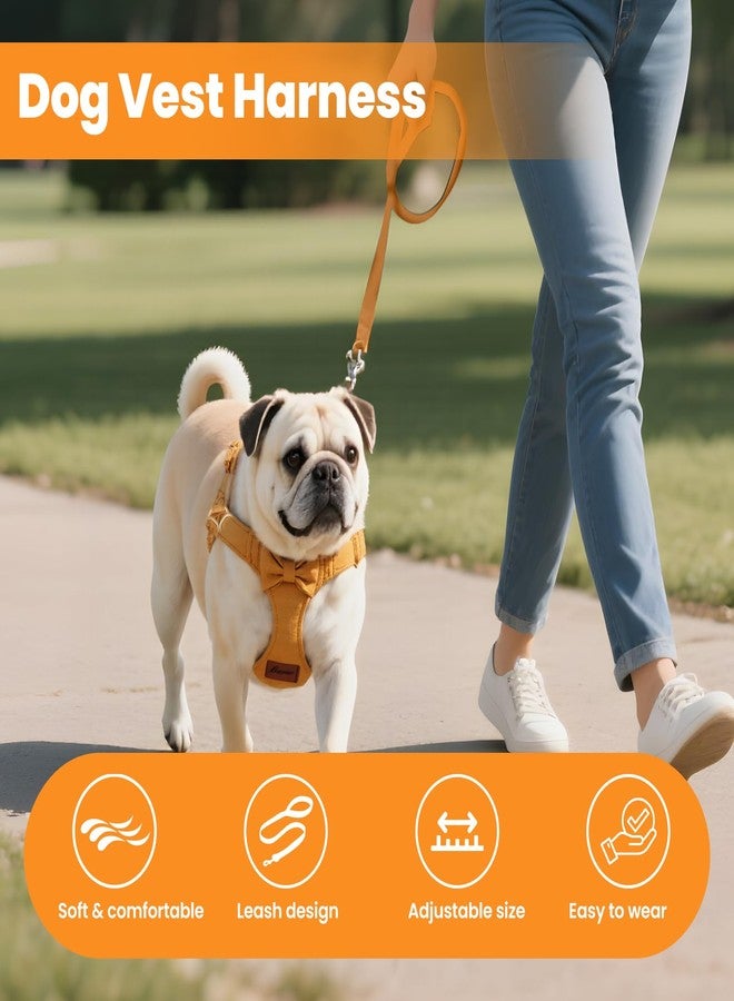 VINGVO Dog Vest Harness Collar and Leash Set, No Pull Pet Vest Harnesses with 4.9ft Leash & Safety Buckle, Adjustable Dog Vest Harness Leashs for Small Medium Dogs Puppy Cats Training Walking (Yellow XXS) - Image 3
