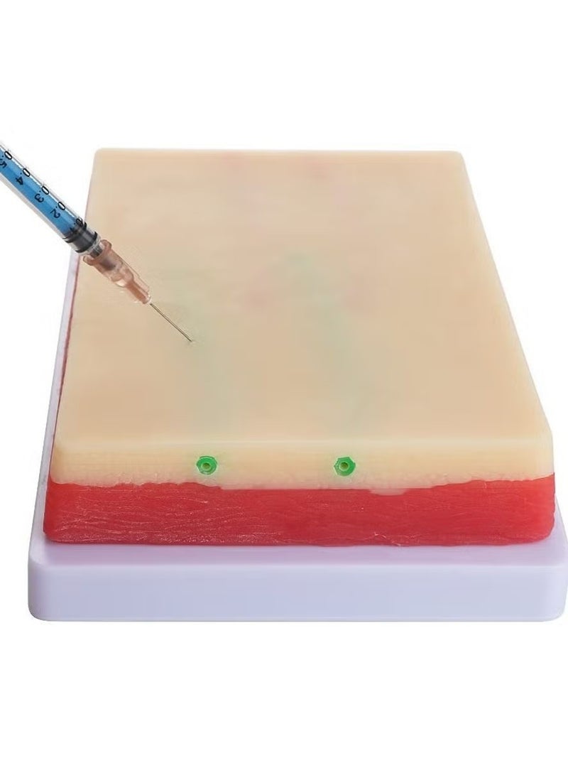 OMEVE IV Venipuncture Training Pad Skin Suture Model Injection Pad Injection Training Pad - Image 2