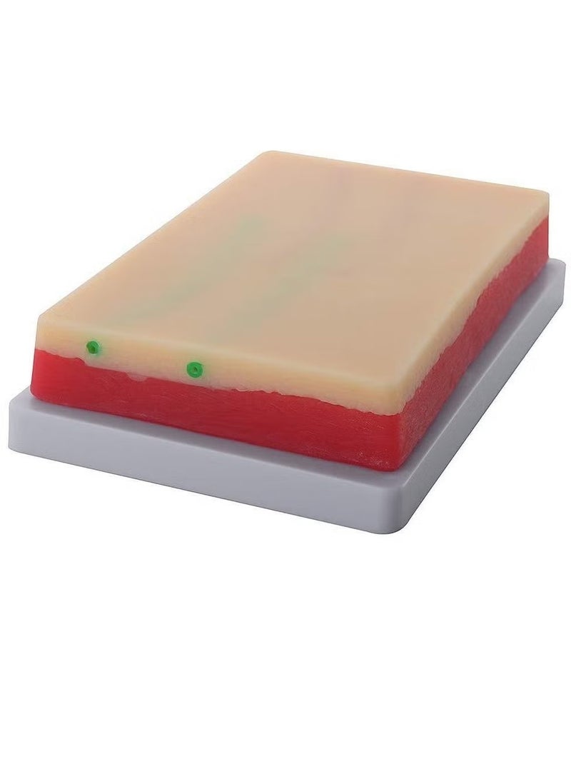 OMEVE IV Venipuncture Training Pad Skin Suture Model Injection Pad Injection Training Pad - Image 4