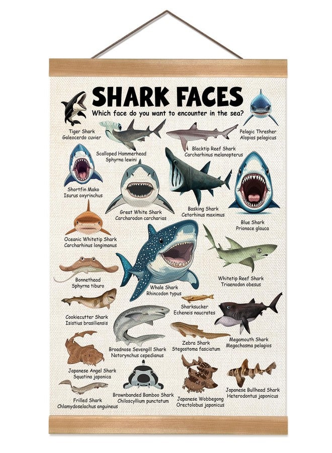 ZTGDA Shark Faces Posters, Sea Animals Sharks Posters Wall Art,Marine Sharks Decor,Ocean Educational Poster for Kid Classroom Decorations Kids Room Home Nursery Playroom (Shark face) - Image 1