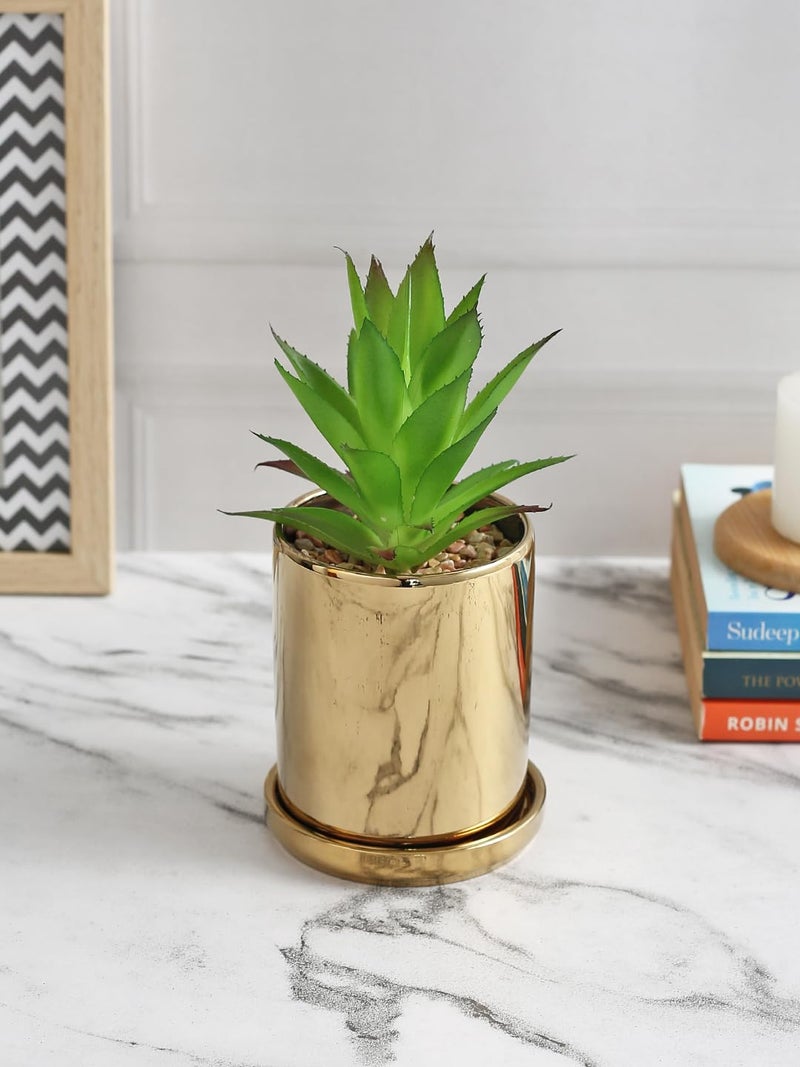 Fourwalls Artificial Succulent Plant with a Golden Pot and a Coaster for Home Decor and Office Decor Natural Look 155 cm