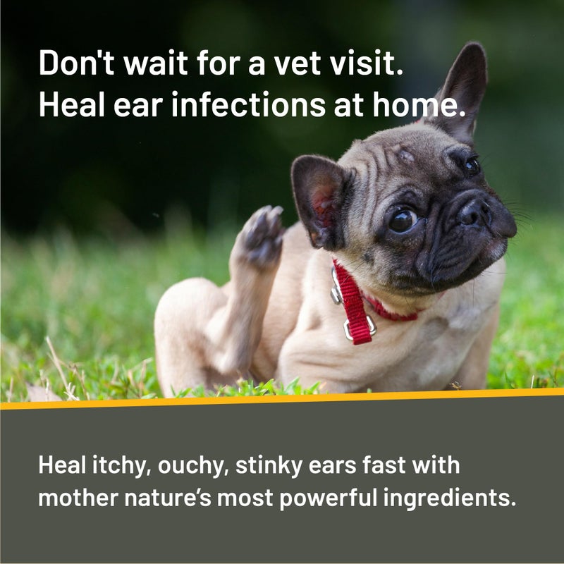 Absorbine Silver Honey Rapid Ear Care Vet Strength Ear Cleaner + Infection Treatment, 10-Day Regimen for 1 Ear, Safe for Dogs & Cats, Medical Grade Manuka Honey & MicroSilver BG - Image 5