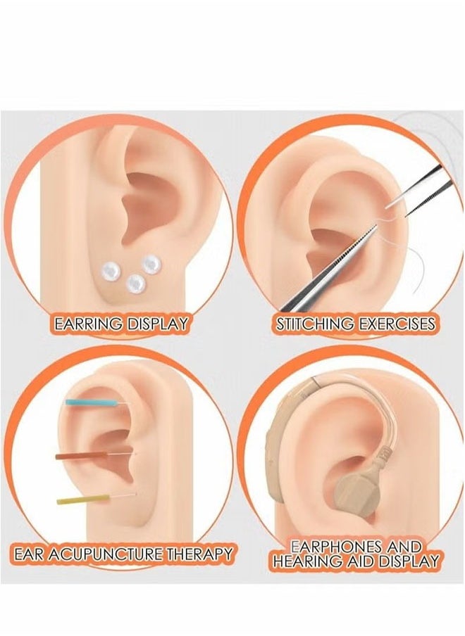 Realfrog - Ear Model Soft Flexible Model Fake Piercing Practice Body Parts Realistic Mold for Jewelry Display Acupuncture Mannequin Teaching Instruction - Image 1