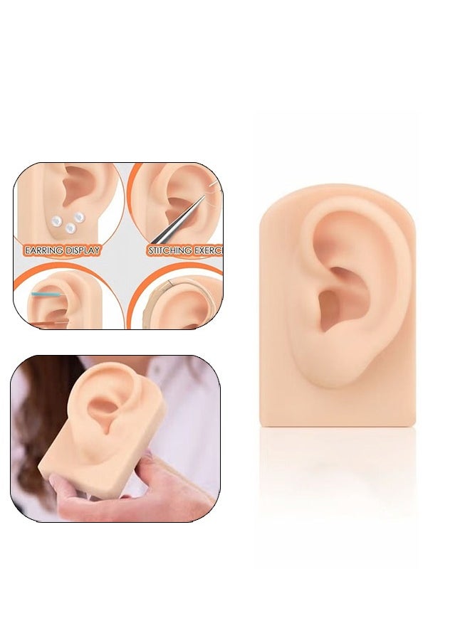 Realfrog - Ear Model Soft Flexible Model Fake Piercing Practice Body Parts Realistic Mold for Jewelry Display Acupuncture Mannequin Teaching Instruction - Image 1