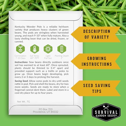 Survival Garden Seeds - Kentucky Wonder Pole Bean Seed for Planting - 1 Packet with Instructions to Plant and Grow Green Snap Beans in Your Home Vegetable Garden - Non-GMO Heirloom Variety - Image 2
