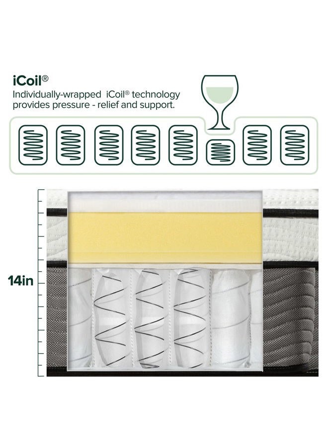 ZINUS 10 Inch Support Plus Pocket Spring Hybrid Mattress/Extra Firm Feel/Heavier Coils for Durable Support/Pocket Innersprings for Motion Isolation/Mattress-in-a-Box, Twin - Image 4