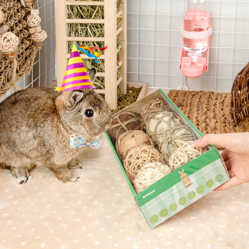 andwe Small Animals Play & Activity Balls Rolling Chew Toys for Rabbits Guinea Pigs Chinchilla - Image 2