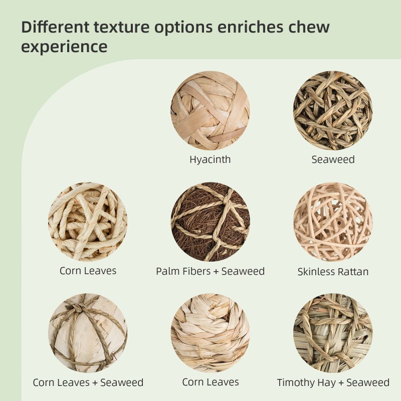 andwe Small Animals Play & Activity Balls Rolling Chew Toys for Rabbits Guinea Pigs Chinchilla - Image 3