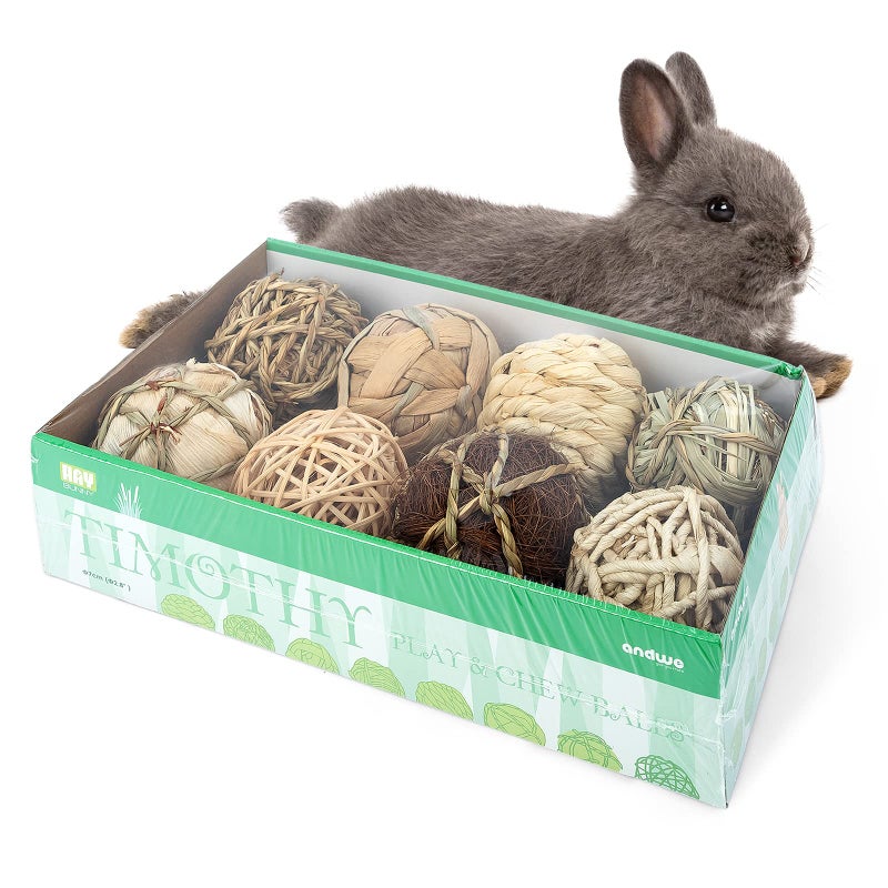 andwe Small Animals Play & Activity Balls Rolling Chew Toys for Rabbits Guinea Pigs Chinchilla - Image 1