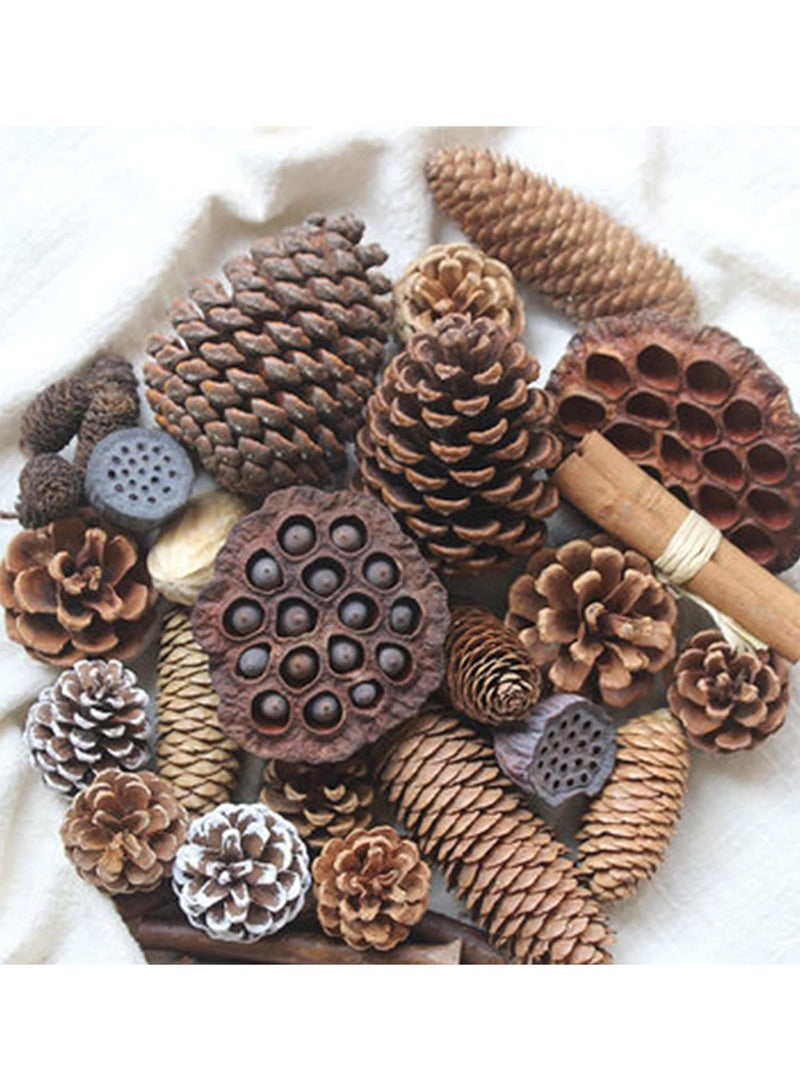 GGOOT Assorted Natural Pine Cones Rustic Lotus Seedpods Dried Leaves Rattan Ball Home Wedding Flower Arrangement Christmas Fall Ornaments Accent  - Image 4