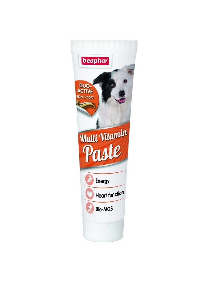 بيفار معجون دو أكتيف متعدد الفيتامينات للكلاب 100 غرام