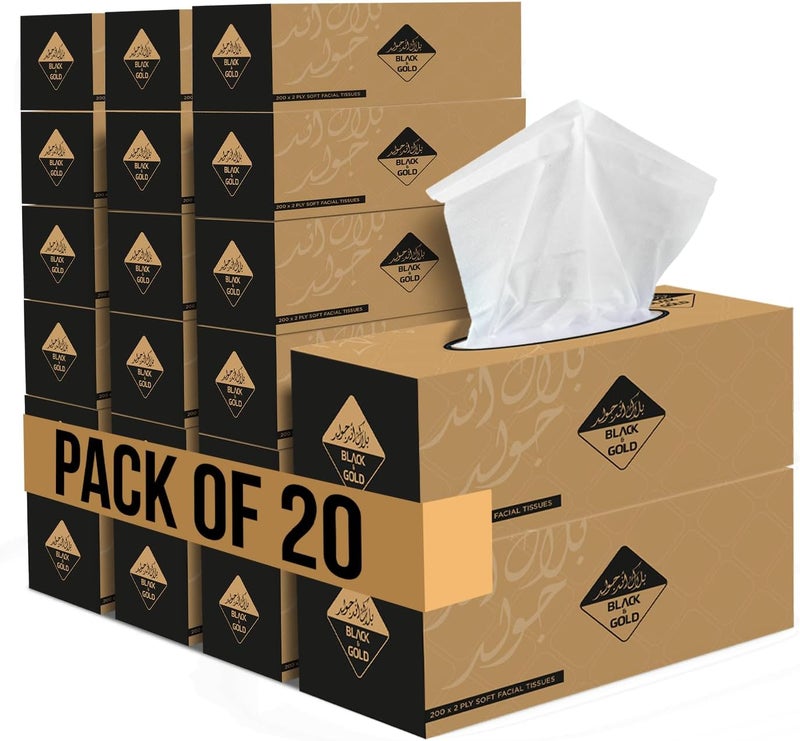 Nice Touch 2 Ply Facial Tissue Pack of 20 - Image 1