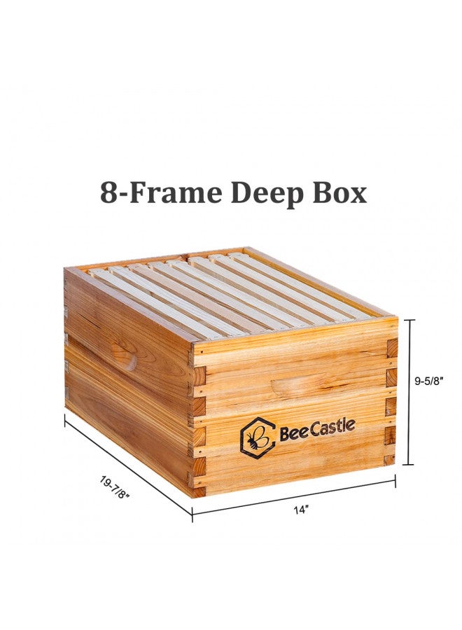 BeeCastle BeeCastle 8 Frame Langstroth Bee Hive Coated with 100% Beeswax Includes Beehive Frames and Waxed Foundations (1 Deep Box & 1 Medium Box)  - Image 3