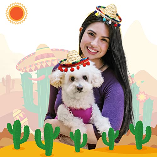JaGely 4 Pcs Cinco De Mayo Mexican Fiesta Serape Poncho Fabric and Straw Sombrero Headbands Mexican Costume (Bright) - Image 4