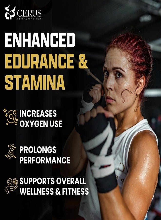 Cerus Performance Flow Stimulant-Free Endurance Pre-Workout – Boosts Stamina, Supports Heart Health with Natural Herbs, Vegan-Friendly - 2 Fl Oz - Image 2