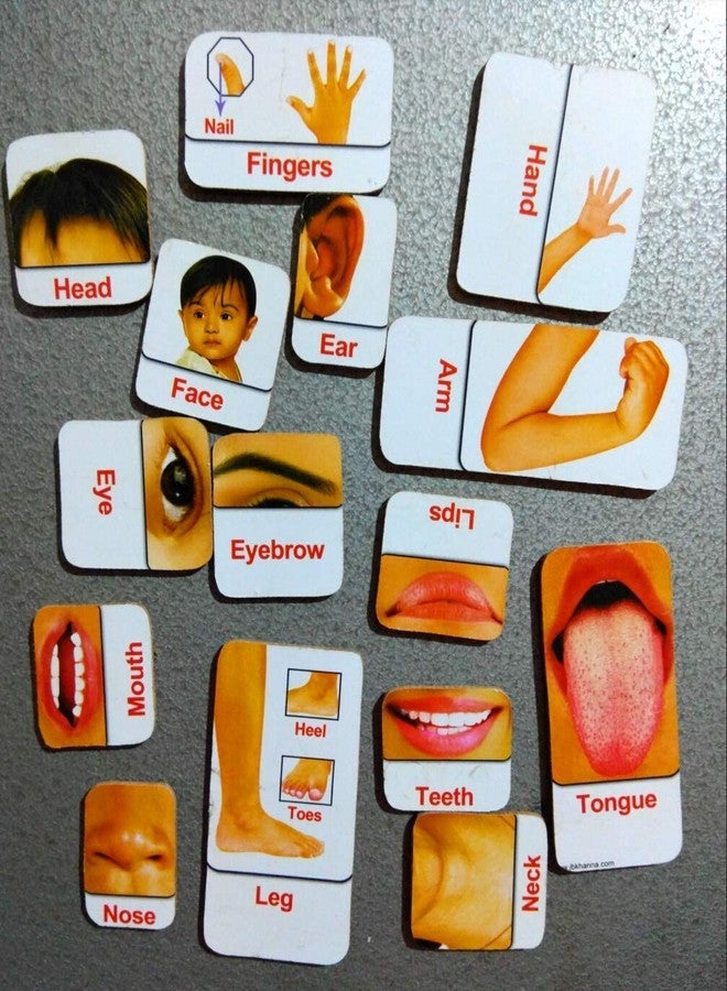 FUTUREZ KEY Wooden Magnetic Parts of Body Educational Learning Puzzle Game 3 yrs 24 Pieces for Kids Toddlers - Image 2