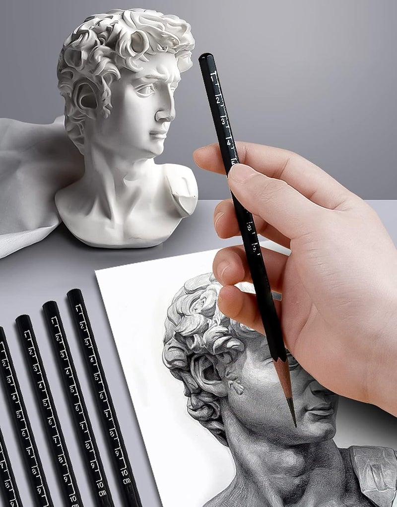 wolpin Drawing Pencils Graphite Pencil for Fineart Artists Pack of 12 Sketch Pencils HB B 2B 4B 6B 8B Fine Art Drawing Pencils for Artists Sketching - Image 2