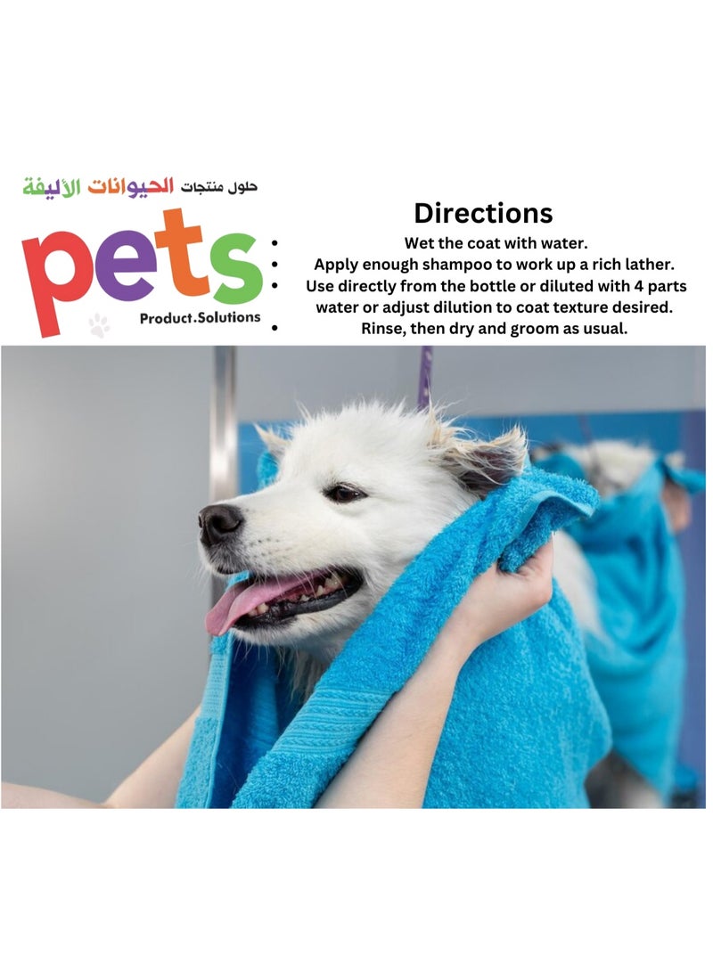 BioNatura شامبو بيو ناتورا للحيوانات الأليفة العضوي اليومي 500 مل – تركيبة زيت الزيتون وزيت جوز الهند مع الجلسرين النباتي – شامبو نباتي للحيوانات الأليفة مع الأوكاليبتوس وزيت شجرة الشاي والنعناع – للكلاب والقطط - Image 2