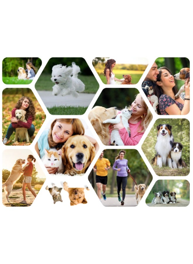 BioNatura شامبو بيو ناتورا للحيوانات الأليفة العضوي اليومي 500 مل – تركيبة زيت الزيتون وزيت جوز الهند مع الجلسرين النباتي – شامبو نباتي للحيوانات الأليفة مع الأوكاليبتوس وزيت شجرة الشاي والنعناع – للكلاب والقطط - Image 3