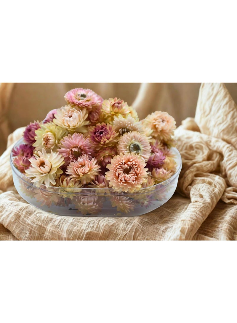 زهور الهيليكريسوم الطبيعية المجففة الفاخرة - ديكور زهور مجففة للحرف اليدوية وحفلات الزفاف وديكور المنزل - ألوان متنوعة (أبيض، وردي، أصفر) - زهور مجففة بكميات كبيرة في صندوق هدايا (وردي، متوسط)  - Image 2