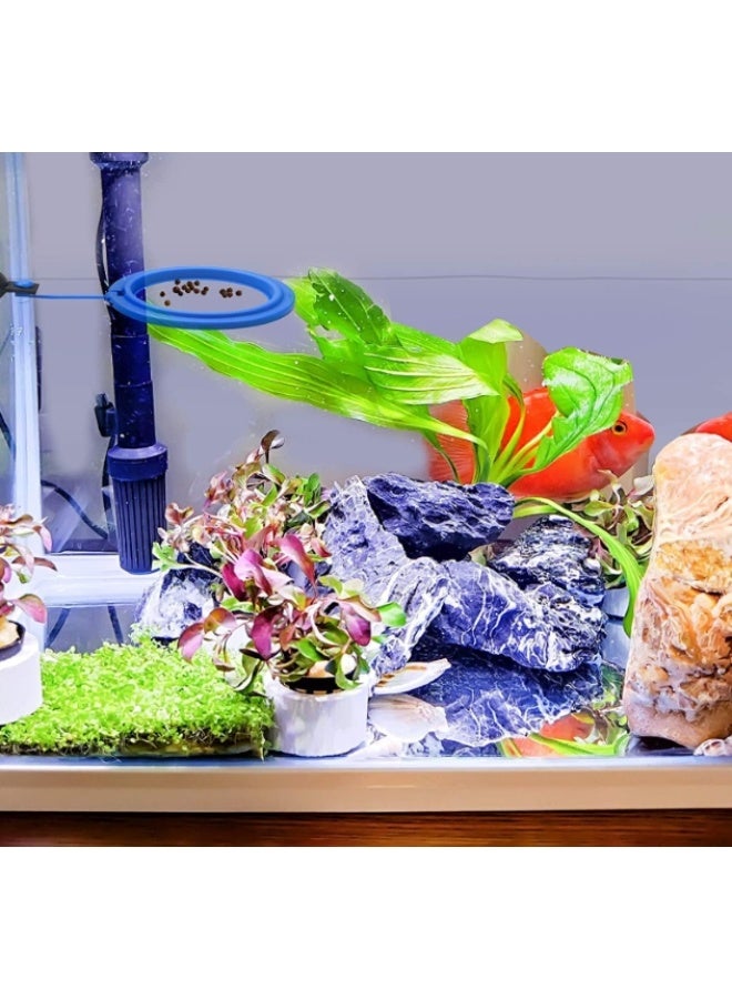 2 Pcs Fish Feeding Ring for Aquarium with Suction Cup, Blue Square and Round Shape Floating Food Feeder for Betta Goldfish Turtle Guppy - Image 4