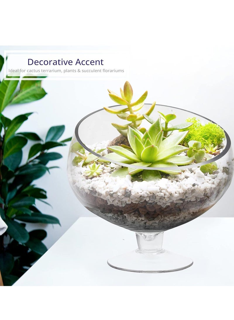 Reko Bowl Glass Vase Micro Landscape Moss Eco Bottle, High Transparent Succulent Glass Vase - Image 2
