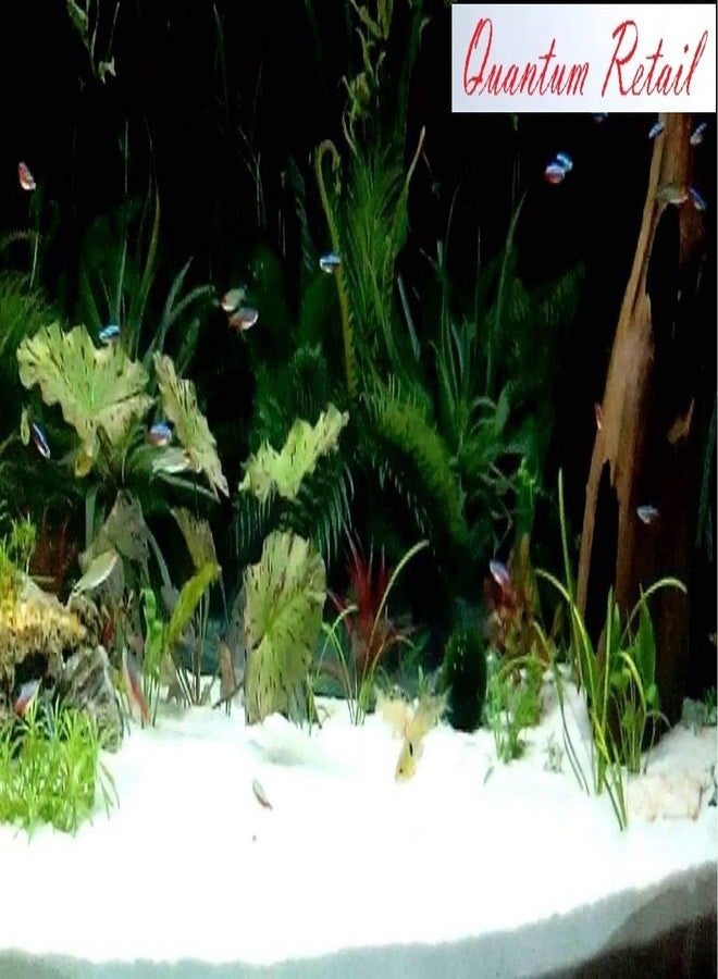 Quantum Retail - (950 Grams) White Sugar Sand Gravel for Aquarium/Home & Garden/Lawn Decoration/Aquarium Substrate/Terrarium/Quartz Sand/Aquarium Sand for Fish Tank - Image 5