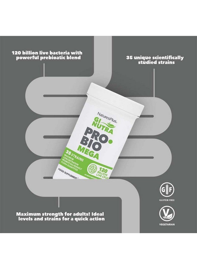 Nature's Plus Naturesplus Gi Natural Probiotic Mega 30 Capsules Digestive & Immune Health Gluten Free 30 Servings - Image 5