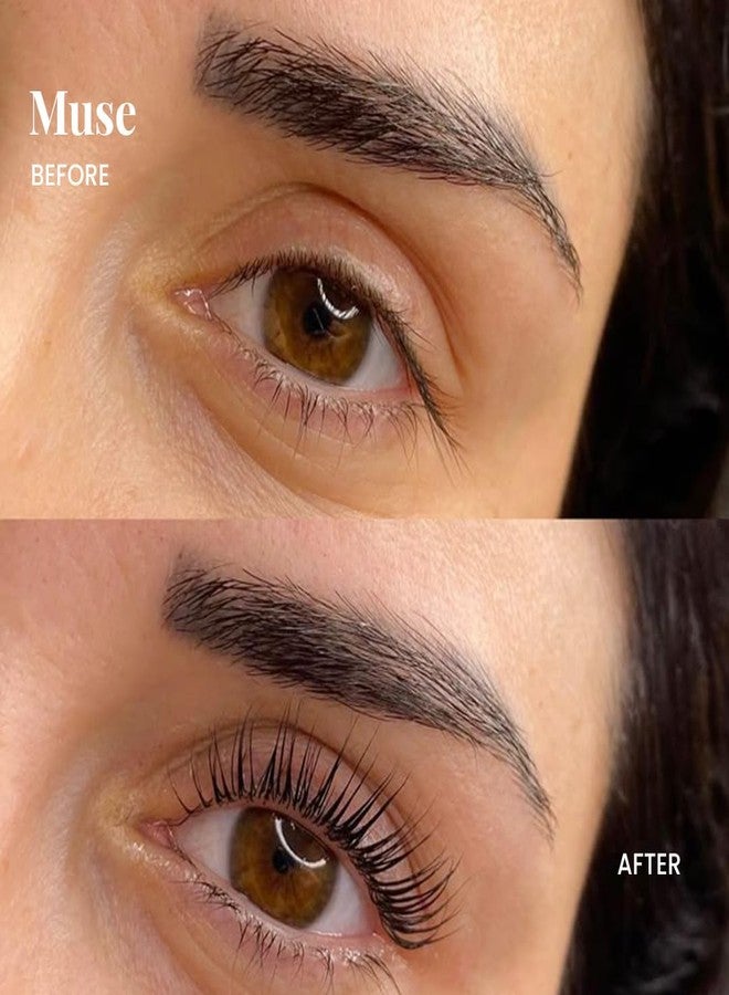 NOAK Eye to Eye 3D False Eyelashes - Muse | Lightweight, Reusable Natural Lashes | Comfortable Wear with Flexible Band | Easy to Apply | Soft Volume Everyday Lash Look - Image 3