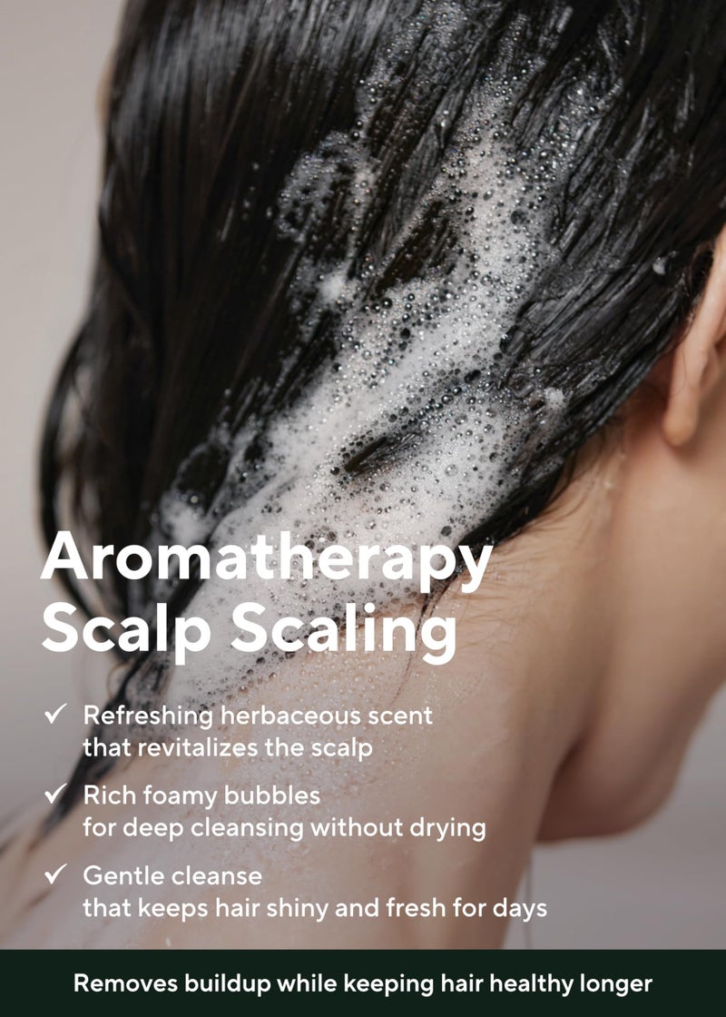 AROMATICA Tea Tree Purifying Shampoo 13.53fl.oz./400ml, Tea Tree Shampoo for Oily Hair and Scalp, Sulfate Free, Vegan - Image 4