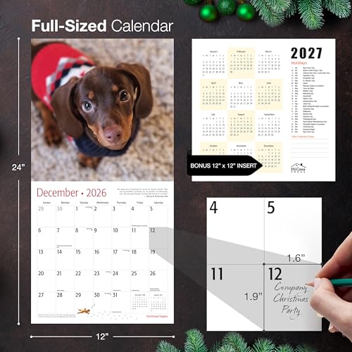 MICASA PRESS Dachshund Puppies 2026 Wall Calendar 12 Month | 12" x 24" Open | Thick & Sturdy Paper | Holiday Gift | Cute Puppy Weiner Dog Calendar 2026 - Image 5