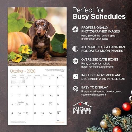 MICASA PRESS Dachshund Puppies 2026 Wall Calendar 12 Month | 12" x 24" Open | Thick & Sturdy Paper | Holiday Gift | Cute Puppy Weiner Dog Calendar 2026 - Image 2
