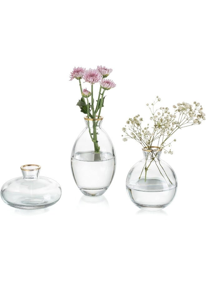Glasseam Glasseam Gold Rim Glass Bud Vase, 3Pcs/Set Modern Decorative Small Mini Flowers Vases Short Minimalist Aesthetic Home Decor Vintage Cute Handmade Tiny Wedding Table Centerpieces for Single Flower Rose - Image 1